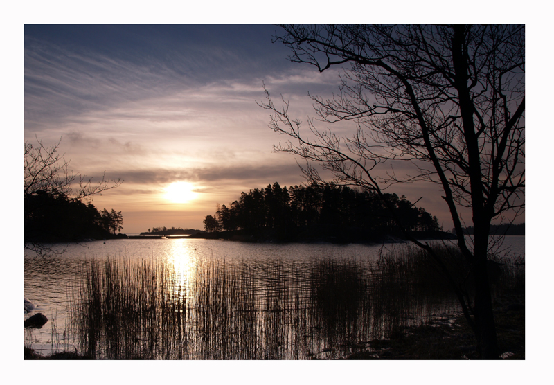 Winter sun in Uutela