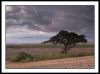 Under African Skies