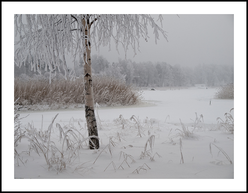 Scenes of January 2