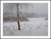 Scenes of January 2