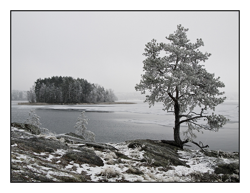 Winter Prelude 5