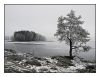 Winter Prelude 5