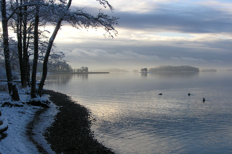 Winter morning by the sea