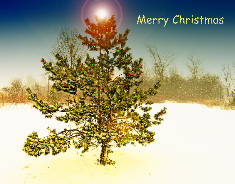 Merry Christmas