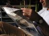 Peter reading newspaper 2 by eric geers