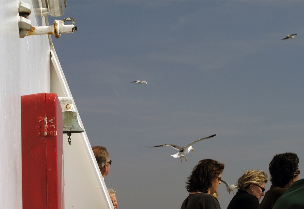On board