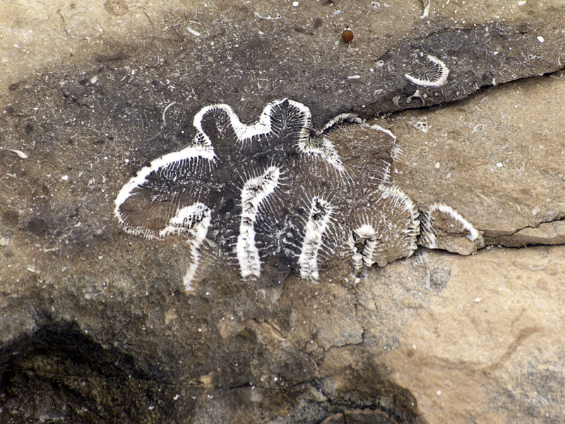 Sea as an artist