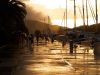 Natural Sepia by Rocco Zoric