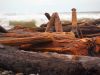 Cairn by Bob Fordice