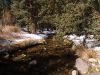 A walk in the woods by David LaBier