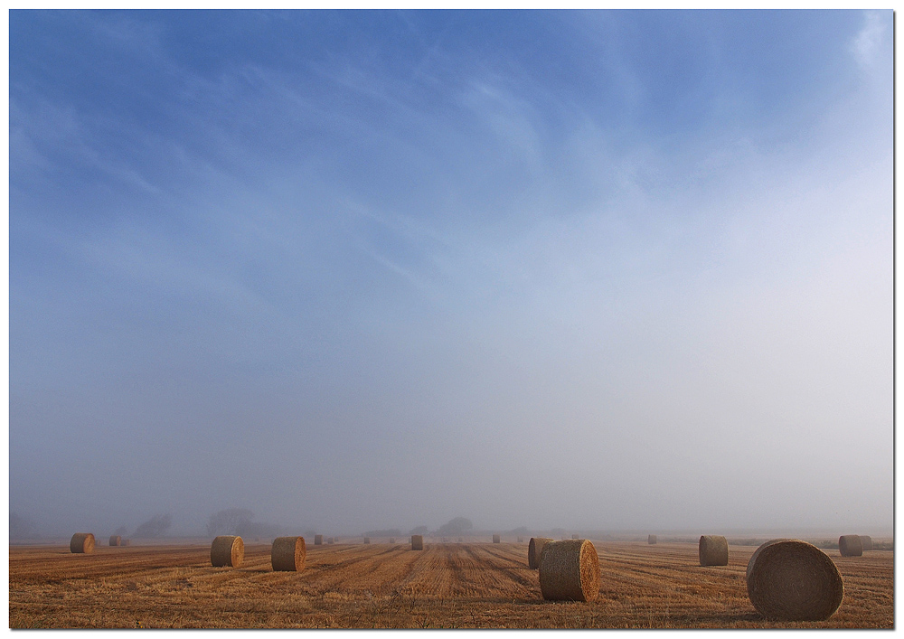 The field