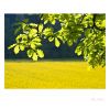 Springtime in Europe by Johannes Horn