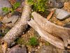 beach debris