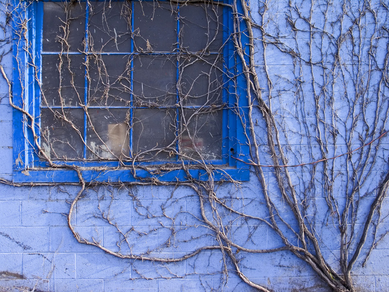 Blue Wall