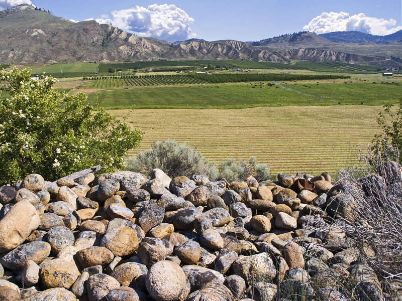 Desert Rockpile