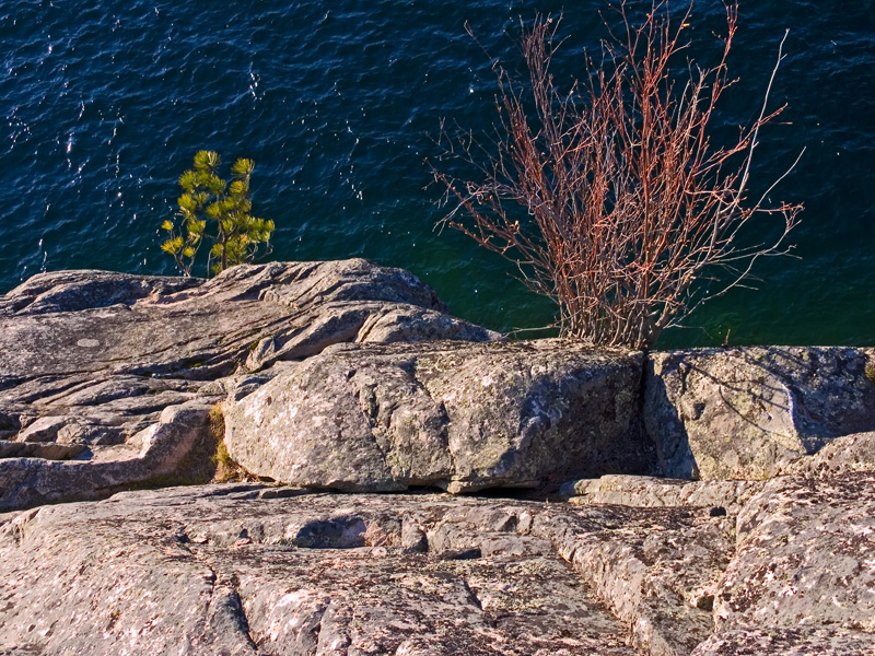 Ellison Rocks