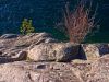 Ellison Rocks by Donald Bryant