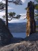 Stump