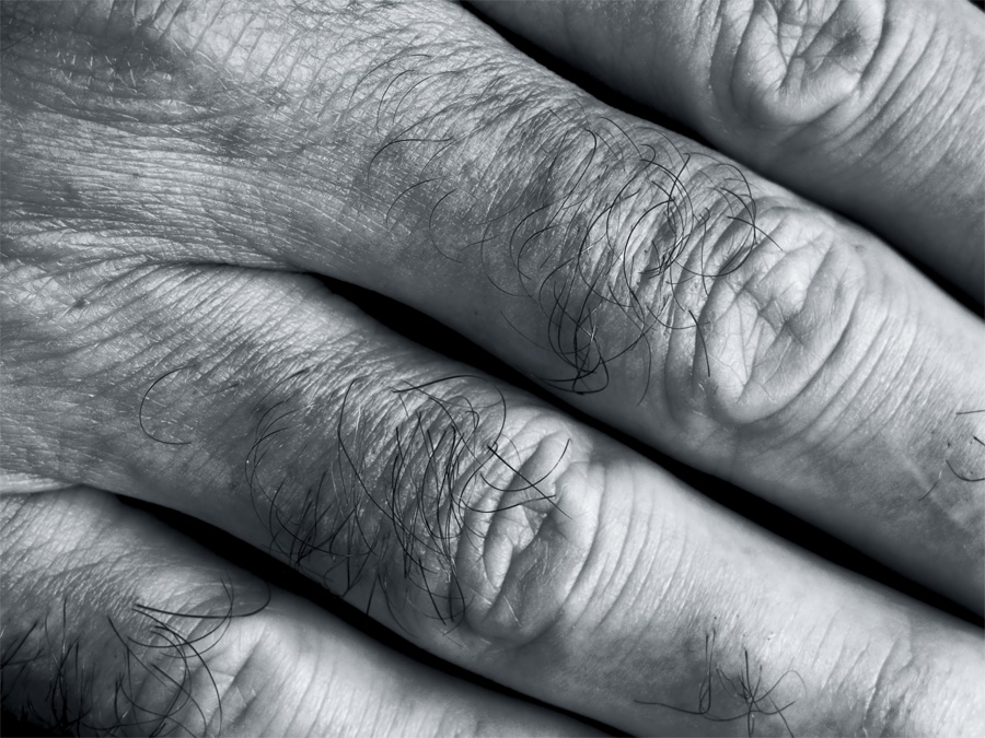handscape 2
