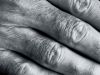 handscape 2 by Donald Bryant