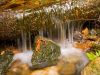 cascade by Donald Bryant