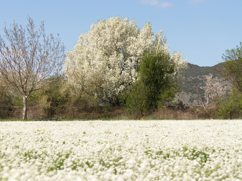 Spring its here!