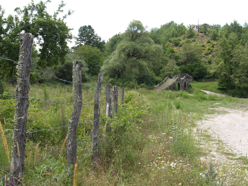 fence