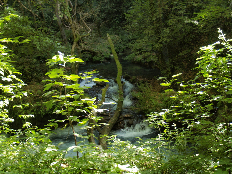 Source of the river