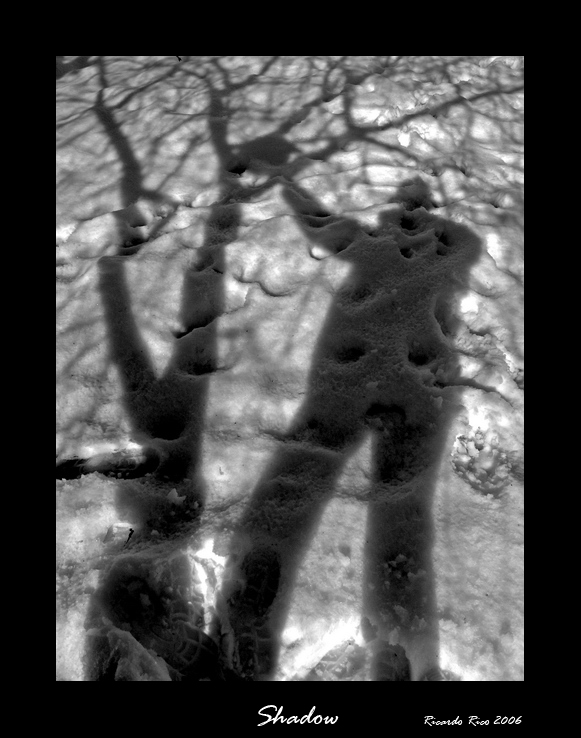 Shadow