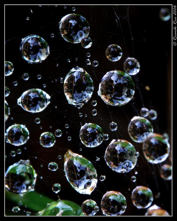 drops