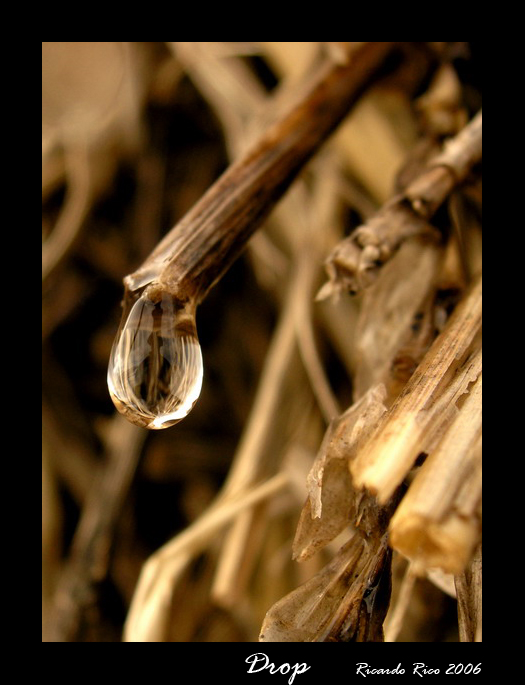 Drop