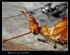 Agony and Death by Ricardo Rico