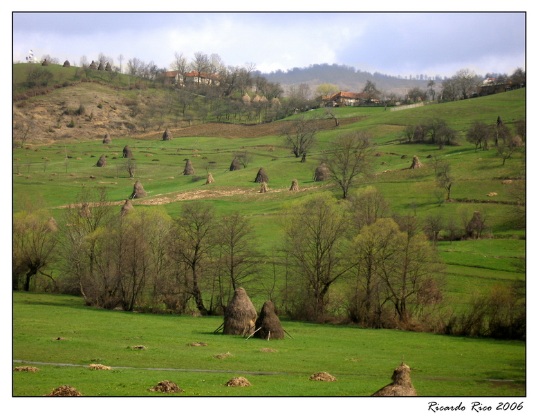 Rumanian Lanndscape 4