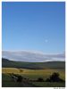Moonrise over vineyards