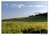 Crops, shadows...sky