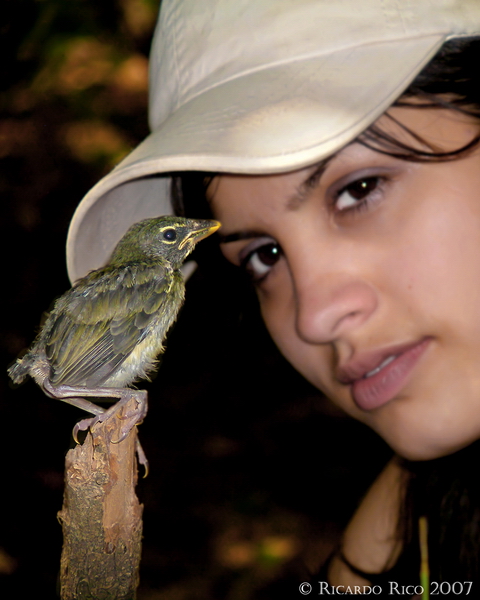 Portrait with little bird