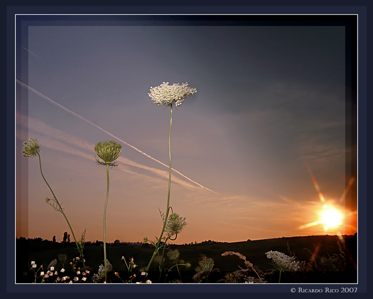 Sundown