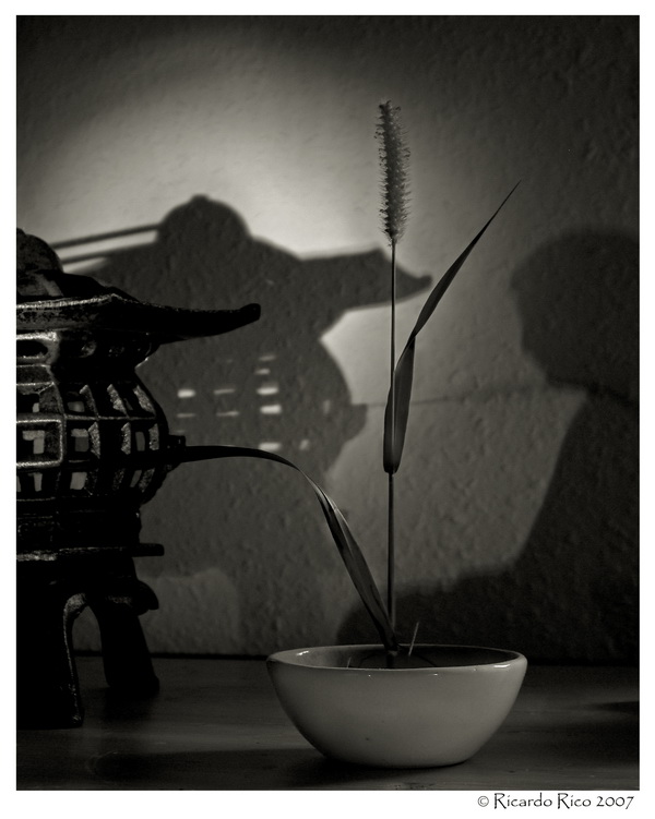 Playing with shadows
