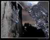 Drops (2)
