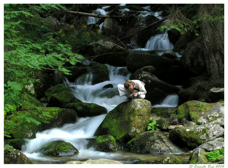 Stream