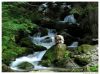 Stream by Ricardo Rico