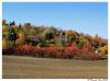 Fall 1