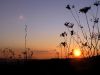 sunset 1