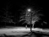 winter night 2 (in B/W) by Ricardo Rico