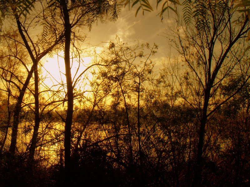 Backlit