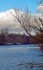 Marne River by Bruno Nardin