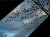 sky by Bruno Nardin