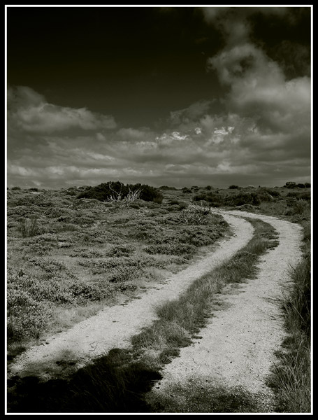 Where it ends?