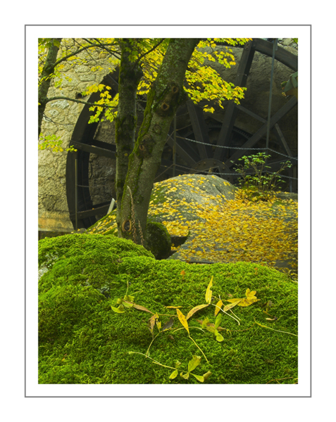 Autumn (3)