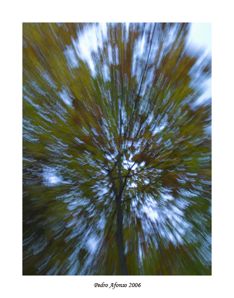 Autumn explosion